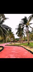 Phumĭ Kaôh RŏngKoh RhongSunshine Resort2的一条棕榈树的红地毯路