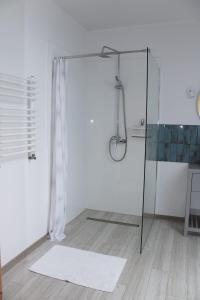 DębogóryDworek Wiatrów的带淋浴的浴室和玻璃门