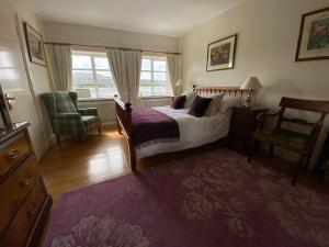 邓法纳希The Mill的卧室配有床、椅子和窗户。