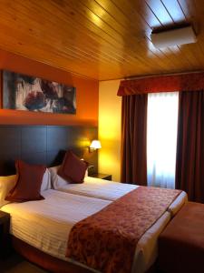拉莫利纳索林内酒店的酒店客房设有一张大床和窗户