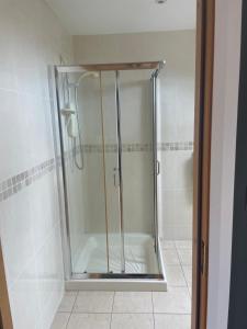 丁格尔Reenconnell Dingle的浴室里设有玻璃门淋浴
