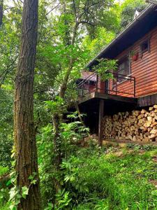 维尔蒂尼克Prirodna oaza Brvnare Platan的小木屋,带甲板和一堆木头