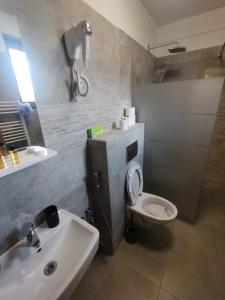 TrnovoApartmani Jelenača prizemlje的一间带卫生间和水槽的浴室