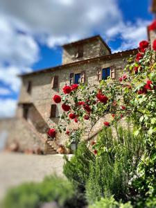 锡耶纳Casale Collecchio Siena的前面有红玫瑰的石头建筑