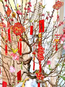 Thôn Kim Long (1)Moon Homestay的红 ⁇ 和粉红色花卉装饰的树