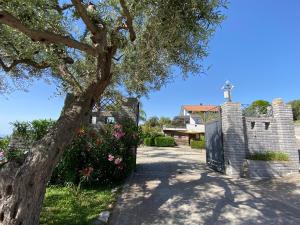 贾迪尼-纳克索斯LUXURY, VILLA VITTORIO, Pool, Taormina,Etna & Seaview的一座教堂,有树,有十字门