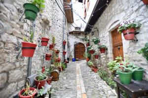 培拉特Guesthouse Alvaro Kadiu的楼边有盆栽的小巷