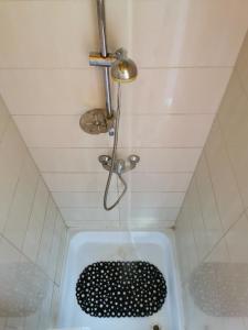 沃胡夫Glamping Kaliska的带淋浴和盥洗盆的浴室