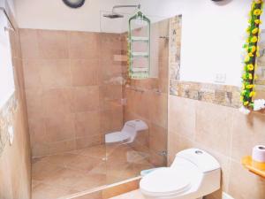 莱瓦镇casa Hotel la Tranquera的一间带卫生间和淋浴的浴室