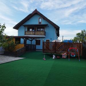 苏利纳REMINA的一座带绿色草坪和游乐场的房屋