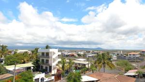 比亚米尔港Hotel Sula Sula的享有棕榈树和建筑城镇的空中景致