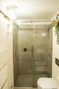 蒙特卡洛安蒂卡萨德拉斯古拉提酒店的一间带卫生间的浴室内的玻璃淋浴间