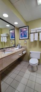 伯米吉Hotel Bemidji的一间带卫生间和大镜子的浴室