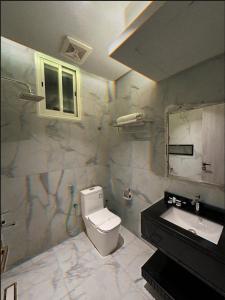 艾卜哈Jardin an的一间带卫生间、水槽和镜子的浴室