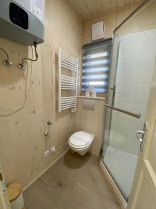 Lelis Alpenloft - Bergchalet in Halden的一间带卫生间和淋浴的小浴室