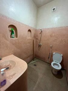 索维拉Charmante appartement privée的一间带水槽、卫生间和淋浴的浴室