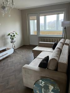 希奥利艾Comfort home Šiauliai的带沙发和窗户的客厅
