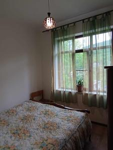 迪利然Mountain View Guesthouse的卧室在窗户前配有一张床