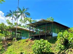 莱蒂西亚Amazon Açaí Lodge的棕榈树山顶上的绿色建筑