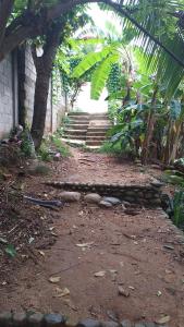埃尔扎伊诺Sierra Tayrona hostel的一条有楼梯的土路和一座树木繁茂的建筑