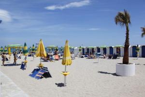 巴列塔Casa ROGGIO的海滩上设有椅子和遮阳伞,棕榈树