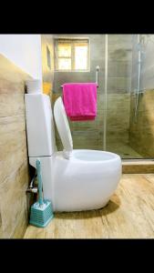 拉各斯60B Adetoun Adelaja 4Bedroom的浴室配有白色卫生间和淋浴。