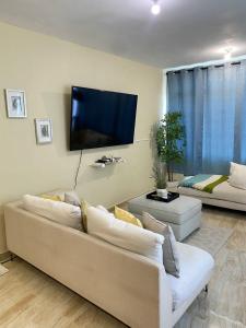 博卡奇卡Merengue House的带沙发和平面电视的客厅