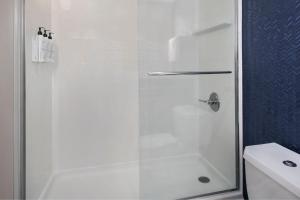 罗切斯特罗彻斯特机场费尔费德酒店的浴室里设有玻璃门淋浴