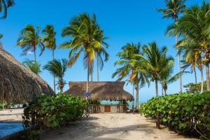 帕洛米诺Aite Eco Resort的棕榈树海滩上的度假村