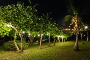 帕洛米诺Aite Eco Resort的公园里一排树木