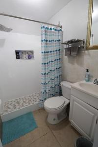 Crocus HillDolphin Villas AXA的一间带卫生间和淋浴帘的浴室