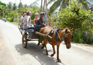 Hồ ÐáHương Tràm的一群骑着马车的人