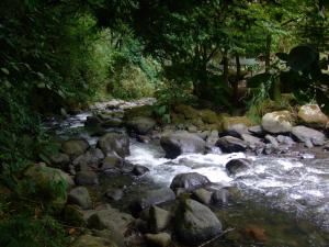 基多Bosque Secreto - Private Cabin and Camping的一条有岩石和树木的水流