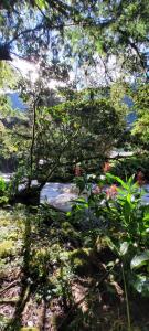 基多Bosque Secreto - Private Cabin and Camping的享有种满鲜花和树木的花园美景。