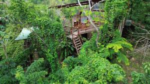 埃尔扎伊诺The Valley Tayrona hostel- A unique social jungle hostel的丛林树屋的顶部景色