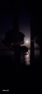 达特恰Datca Villa Carla Hotel的远方月亮的海洋夜景