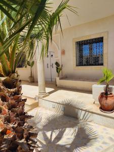 古莱比耶Villa Nour Kélibia的一间拥有棕榈树和窗户的客厅