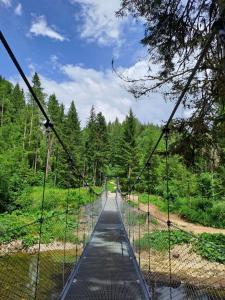 Pont-de-PoitteL'Oréline au cœur de la région des Lacs du Jura的森林中河流上的悬索桥