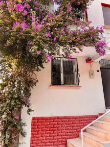 伊兹密尔İZMİR merkezde müstakil TEMİZ küçük ev的一座带粉红色花窗的建筑