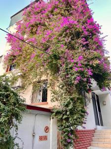 伊兹密尔İZMİR merkezde müstakil TEMİZ küçük ev的建筑一侧的一束紫色花