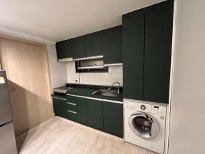 首尔green house room 103的厨房配有绿色橱柜和洗衣机。