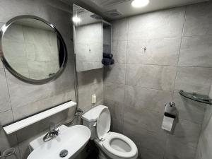 首尔green house room 103的一间带卫生间、水槽和镜子的浴室