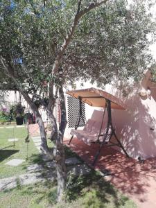 圣卢里亚Nico 12的帐篷旁树下的吊床