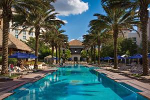 奥兰多盖洛德棕榈水疗度假酒店的度假村的游泳池,种植了棕榈树,配有椅子