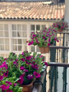 圣地亚哥－德孔波斯特拉萨尔萨巴邦特斯旅馆的阳台上的盆子里放着一束鲜花