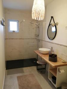 Apremont-la-ForêtGITE DE MIRAUVILLE的一间带水槽、淋浴和镜子的浴室