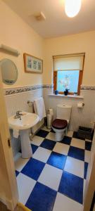 莫希尔Lough Rynn的一间带卫生间和水槽的浴室