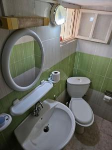 托泽尔Hadhri Appartement的一间带水槽、卫生间和镜子的浴室