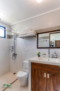 科隆Adora's Place的一间带卫生间、水槽和镜子的浴室