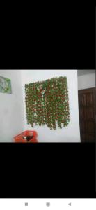 尼亚美Au Havre de Paix的墙上挂着绿色常春藤的墙